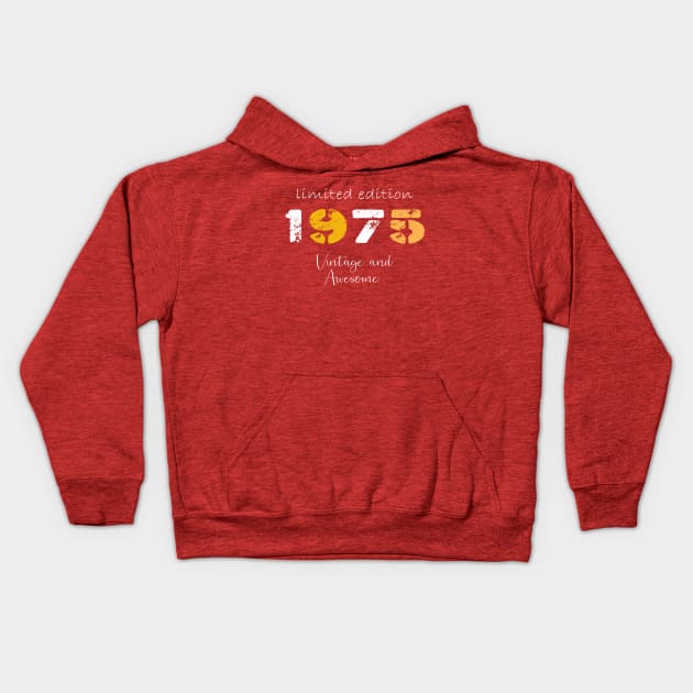 1975 Birth Year gift, Awasome 1975 Birth year Vintage T shirt Kids Hoodie by Nocrayons